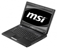 MSI CX413 (Athlon II P320 2100 Mhz/14