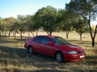 Nissan Bluebird Sedan (U14) 2.0 AT (143hp) foto, Nissan Bluebird Sedan (U14) 2.0 AT (143hp) fotos, Nissan Bluebird Sedan (U14) 2.0 AT (143hp) Bilder, Nissan Bluebird Sedan (U14) 2.0 AT (143hp) Bild