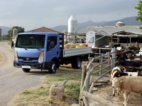 Nissan Cabstar Single Cab Board 2-door (3 generation) 3.0 D MT MWB (150 HP) COMFORT (I-Q) (2013) foto, Nissan Cabstar Single Cab Board 2-door (3 generation) 3.0 D MT MWB (150 HP) COMFORT (I-Q) (2013) fotos, Nissan Cabstar Single Cab Board 2-door (3 generation) 3.0 D MT MWB (150 HP) COMFORT (I-Q) (2013) Bilder, Nissan Cabstar Single Cab Board 2-door (3 generation) 3.0 D MT MWB (150 HP) COMFORT (I-Q) (2013) Bild