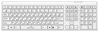 Oklick 560 S Multimedia Keyboard White USB Technische Daten, Oklick 560 S Multimedia Keyboard White USB Daten, Oklick 560 S Multimedia Keyboard White USB Funktionen, Oklick 560 S Multimedia Keyboard White USB Bewertung, Oklick 560 S Multimedia Keyboard White USB kaufen, Oklick 560 S Multimedia Keyboard White USB Preis, Oklick 560 S Multimedia Keyboard White USB Tastatur-Maus-Sets