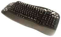 Oklick 780l Multimedia Keyboard Black PS/2 foto, Oklick 780l Multimedia Keyboard Black PS/2 fotos, Oklick 780l Multimedia Keyboard Black PS/2 Bilder, Oklick 780l Multimedia Keyboard Black PS/2 Bild