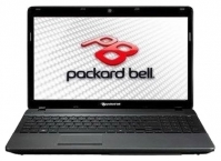 Packard Bell EasyNote F4211 AMD (A4 3300M 1900 Mhz/15.6