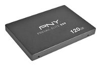 PNY SSD9SC120GEDA-PB Technische Daten, PNY SSD9SC120GEDA-PB Daten, PNY SSD9SC120GEDA-PB Funktionen, PNY SSD9SC120GEDA-PB Bewertung, PNY SSD9SC120GEDA-PB kaufen, PNY SSD9SC120GEDA-PB Preis, PNY SSD9SC120GEDA-PB Festplatten und Netzlaufwerke