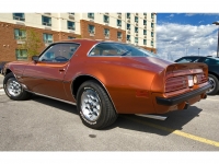 Pontiac Firebird Esprit coupe 2-door (2 generation) 6.6 3MT (190hp) foto, Pontiac Firebird Esprit coupe 2-door (2 generation) 6.6 3MT (190hp) fotos, Pontiac Firebird Esprit coupe 2-door (2 generation) 6.6 3MT (190hp) Bilder, Pontiac Firebird Esprit coupe 2-door (2 generation) 6.6 3MT (190hp) Bild