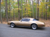 Pontiac Firebird Esprit coupe 2-door (2 generation) AT 4.9 (137hp) foto, Pontiac Firebird Esprit coupe 2-door (2 generation) AT 4.9 (137hp) fotos, Pontiac Firebird Esprit coupe 2-door (2 generation) AT 4.9 (137hp) Bilder, Pontiac Firebird Esprit coupe 2-door (2 generation) AT 4.9 (137hp) Bild