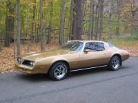 Pontiac Firebird Esprit coupe 2-door (2 generation) AT 4.9 (137hp) foto, Pontiac Firebird Esprit coupe 2-door (2 generation) AT 4.9 (137hp) fotos, Pontiac Firebird Esprit coupe 2-door (2 generation) AT 4.9 (137hp) Bilder, Pontiac Firebird Esprit coupe 2-door (2 generation) AT 4.9 (137hp) Bild