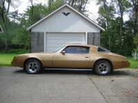 Pontiac Firebird Esprit coupe 2-door (2 generation) AT 4.9 (137hp) foto, Pontiac Firebird Esprit coupe 2-door (2 generation) AT 4.9 (137hp) fotos, Pontiac Firebird Esprit coupe 2-door (2 generation) AT 4.9 (137hp) Bilder, Pontiac Firebird Esprit coupe 2-door (2 generation) AT 4.9 (137hp) Bild