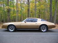 Pontiac Firebird Esprit coupe 2-door (2 generation) AT 5.0 (127hp) foto, Pontiac Firebird Esprit coupe 2-door (2 generation) AT 5.0 (127hp) fotos, Pontiac Firebird Esprit coupe 2-door (2 generation) AT 5.0 (127hp) Bilder, Pontiac Firebird Esprit coupe 2-door (2 generation) AT 5.0 (127hp) Bild