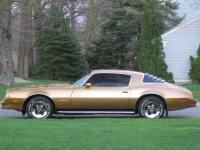 Pontiac Firebird Esprit coupe 2-door (2 generation) AT 5.0 (127hp) foto, Pontiac Firebird Esprit coupe 2-door (2 generation) AT 5.0 (127hp) fotos, Pontiac Firebird Esprit coupe 2-door (2 generation) AT 5.0 (127hp) Bilder, Pontiac Firebird Esprit coupe 2-door (2 generation) AT 5.0 (127hp) Bild