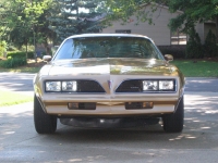 Pontiac Firebird Esprit coupe 2-door (2 generation) AT 5.0 (127hp) foto, Pontiac Firebird Esprit coupe 2-door (2 generation) AT 5.0 (127hp) fotos, Pontiac Firebird Esprit coupe 2-door (2 generation) AT 5.0 (127hp) Bilder, Pontiac Firebird Esprit coupe 2-door (2 generation) AT 5.0 (127hp) Bild