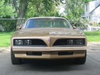 Pontiac Firebird Esprit coupe 2-door (2 generation) AT 5.0 (127hp) foto, Pontiac Firebird Esprit coupe 2-door (2 generation) AT 5.0 (127hp) fotos, Pontiac Firebird Esprit coupe 2-door (2 generation) AT 5.0 (127hp) Bilder, Pontiac Firebird Esprit coupe 2-door (2 generation) AT 5.0 (127hp) Bild