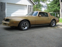 Pontiac Firebird Esprit coupe 2-door (2 generation) AT 5.0 (127hp) foto, Pontiac Firebird Esprit coupe 2-door (2 generation) AT 5.0 (127hp) fotos, Pontiac Firebird Esprit coupe 2-door (2 generation) AT 5.0 (127hp) Bilder, Pontiac Firebird Esprit coupe 2-door (2 generation) AT 5.0 (127hp) Bild