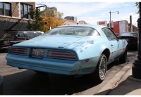 Pontiac Firebird Esprit Skybird coupe 2-door (2 generation) 3.8 MT (117hp) foto, Pontiac Firebird Esprit Skybird coupe 2-door (2 generation) 3.8 MT (117hp) fotos, Pontiac Firebird Esprit Skybird coupe 2-door (2 generation) 3.8 MT (117hp) Bilder, Pontiac Firebird Esprit Skybird coupe 2-door (2 generation) 3.8 MT (117hp) Bild