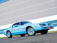 Pontiac Firebird Esprit Skybird coupe 2-door (2 generation) AT 5.0 (127hp) foto, Pontiac Firebird Esprit Skybird coupe 2-door (2 generation) AT 5.0 (127hp) fotos, Pontiac Firebird Esprit Skybird coupe 2-door (2 generation) AT 5.0 (127hp) Bilder, Pontiac Firebird Esprit Skybird coupe 2-door (2 generation) AT 5.0 (127hp) Bild