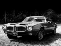 Pontiac Firebird Formula coupe 2-door (2 generation) 5.7 Hydra-Matic (175hp '72) foto, Pontiac Firebird Formula coupe 2-door (2 generation) 5.7 Hydra-Matic (175hp '72) fotos, Pontiac Firebird Formula coupe 2-door (2 generation) 5.7 Hydra-Matic (175hp '72) Bilder, Pontiac Firebird Formula coupe 2-door (2 generation) 5.7 Hydra-Matic (175hp '72) Bild