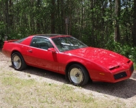 Pontiac Firebird T-Roof Targa 2-door (3 generation) 2.5 4MT (91hp) foto, Pontiac Firebird T-Roof Targa 2-door (3 generation) 2.5 4MT (91hp) fotos, Pontiac Firebird T-Roof Targa 2-door (3 generation) 2.5 4MT (91hp) Bilder, Pontiac Firebird T-Roof Targa 2-door (3 generation) 2.5 4MT (91hp) Bild