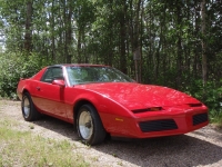 Pontiac Firebird T-Roof Targa 2-door (3 generation) 2.5 4MT (91hp) foto, Pontiac Firebird T-Roof Targa 2-door (3 generation) 2.5 4MT (91hp) fotos, Pontiac Firebird T-Roof Targa 2-door (3 generation) 2.5 4MT (91hp) Bilder, Pontiac Firebird T-Roof Targa 2-door (3 generation) 2.5 4MT (91hp) Bild