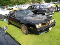 Pontiac Firebird Trans Am Black Special Edition T-Roof Targa 2-door (2 generation) 6.6 MT (188 HP) foto, Pontiac Firebird Trans Am Black Special Edition T-Roof Targa 2-door (2 generation) 6.6 MT (188 HP) fotos, Pontiac Firebird Trans Am Black Special Edition T-Roof Targa 2-door (2 generation) 6.6 MT (188 HP) Bilder, Pontiac Firebird Trans Am Black Special Edition T-Roof Targa 2-door (2 generation) 6.6 MT (188 HP) Bild