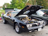 Pontiac Firebird Trans Am Black Special Edition T-Roof Targa 2-door (2 generation) 6.6 MT (188 HP) foto, Pontiac Firebird Trans Am Black Special Edition T-Roof Targa 2-door (2 generation) 6.6 MT (188 HP) fotos, Pontiac Firebird Trans Am Black Special Edition T-Roof Targa 2-door (2 generation) 6.6 MT (188 HP) Bilder, Pontiac Firebird Trans Am Black Special Edition T-Roof Targa 2-door (2 generation) 6.6 MT (188 HP) Bild