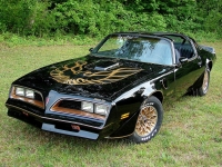 Pontiac Firebird Trans Am Black Special Edition T-Roof Targa 2-door (2 generation) 6.6 MT (188 HP) foto, Pontiac Firebird Trans Am Black Special Edition T-Roof Targa 2-door (2 generation) 6.6 MT (188 HP) fotos, Pontiac Firebird Trans Am Black Special Edition T-Roof Targa 2-door (2 generation) 6.6 MT (188 HP) Bilder, Pontiac Firebird Trans Am Black Special Edition T-Roof Targa 2-door (2 generation) 6.6 MT (188 HP) Bild