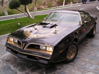 Pontiac Firebird Trans Am Black Special Edition T-Roof Targa 2-door (2 generation) 6.6 MT (188 HP) foto, Pontiac Firebird Trans Am Black Special Edition T-Roof Targa 2-door (2 generation) 6.6 MT (188 HP) fotos, Pontiac Firebird Trans Am Black Special Edition T-Roof Targa 2-door (2 generation) 6.6 MT (188 HP) Bilder, Pontiac Firebird Trans Am Black Special Edition T-Roof Targa 2-door (2 generation) 6.6 MT (188 HP) Bild