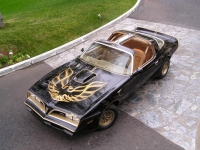 Pontiac Firebird Trans Am Black Special Edition T-Roof Targa 2-door (2 generation) AT 6.6 (188 HP) foto, Pontiac Firebird Trans Am Black Special Edition T-Roof Targa 2-door (2 generation) AT 6.6 (188 HP) fotos, Pontiac Firebird Trans Am Black Special Edition T-Roof Targa 2-door (2 generation) AT 6.6 (188 HP) Bilder, Pontiac Firebird Trans Am Black Special Edition T-Roof Targa 2-door (2 generation) AT 6.6 (188 HP) Bild