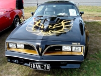 Pontiac Firebird Trans Am Black Special Edition T-Roof Targa 2-door (2 generation) AT 6.6 (188 HP) foto, Pontiac Firebird Trans Am Black Special Edition T-Roof Targa 2-door (2 generation) AT 6.6 (188 HP) fotos, Pontiac Firebird Trans Am Black Special Edition T-Roof Targa 2-door (2 generation) AT 6.6 (188 HP) Bilder, Pontiac Firebird Trans Am Black Special Edition T-Roof Targa 2-door (2 generation) AT 6.6 (188 HP) Bild