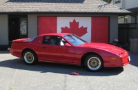 Pontiac Firebird Trans Am coupe (3rd generation) 3.8 Turbo AT foto, Pontiac Firebird Trans Am coupe (3rd generation) 3.8 Turbo AT fotos, Pontiac Firebird Trans Am coupe (3rd generation) 3.8 Turbo AT Bilder, Pontiac Firebird Trans Am coupe (3rd generation) 3.8 Turbo AT Bild