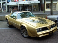 Pontiac Firebird Trans Am Gold Special Edition T-Roof Targa 2-door (2 generation) 6.6 MT (223 HP) foto, Pontiac Firebird Trans Am Gold Special Edition T-Roof Targa 2-door (2 generation) 6.6 MT (223 HP) fotos, Pontiac Firebird Trans Am Gold Special Edition T-Roof Targa 2-door (2 generation) 6.6 MT (223 HP) Bilder, Pontiac Firebird Trans Am Gold Special Edition T-Roof Targa 2-door (2 generation) 6.6 MT (223 HP) Bild