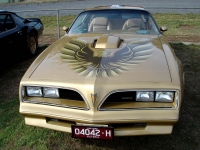 Pontiac Firebird Trans Am Gold Special Edition T-Roof Targa 2-door (2 generation) 6.6 MT (223 HP) Technische Daten, Pontiac Firebird Trans Am Gold Special Edition T-Roof Targa 2-door (2 generation) 6.6 MT (223 HP) Daten, Pontiac Firebird Trans Am Gold Special Edition T-Roof Targa 2-door (2 generation) 6.6 MT (223 HP) Funktionen, Pontiac Firebird Trans Am Gold Special Edition T-Roof Targa 2-door (2 generation) 6.6 MT (223 HP) Bewertung, Pontiac Firebird Trans Am Gold Special Edition T-Roof Targa 2-door (2 generation) 6.6 MT (223 HP) kaufen, Pontiac Firebird Trans Am Gold Special Edition T-Roof Targa 2-door (2 generation) 6.6 MT (223 HP) Preis, Pontiac Firebird Trans Am Gold Special Edition T-Roof Targa 2-door (2 generation) 6.6 MT (223 HP) Autos