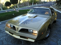 Pontiac Firebird Trans Am Gold Special Edition T-Roof Targa 2-door (2 generation) 6.6 MT (223 HP) foto, Pontiac Firebird Trans Am Gold Special Edition T-Roof Targa 2-door (2 generation) 6.6 MT (223 HP) fotos, Pontiac Firebird Trans Am Gold Special Edition T-Roof Targa 2-door (2 generation) 6.6 MT (223 HP) Bilder, Pontiac Firebird Trans Am Gold Special Edition T-Roof Targa 2-door (2 generation) 6.6 MT (223 HP) Bild