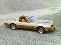 Pontiac Firebird Trans Am Gold Special Edition T-Roof Targa 2-door (2 generation) AT 6.6 (188 HP) foto, Pontiac Firebird Trans Am Gold Special Edition T-Roof Targa 2-door (2 generation) AT 6.6 (188 HP) fotos, Pontiac Firebird Trans Am Gold Special Edition T-Roof Targa 2-door (2 generation) AT 6.6 (188 HP) Bilder, Pontiac Firebird Trans Am Gold Special Edition T-Roof Targa 2-door (2 generation) AT 6.6 (188 HP) Bild