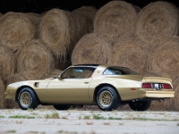 Pontiac Firebird Trans Am Gold Special Edition T-Roof Targa 2-door (2 generation) AT 6.6 (188 HP) foto, Pontiac Firebird Trans Am Gold Special Edition T-Roof Targa 2-door (2 generation) AT 6.6 (188 HP) fotos, Pontiac Firebird Trans Am Gold Special Edition T-Roof Targa 2-door (2 generation) AT 6.6 (188 HP) Bilder, Pontiac Firebird Trans Am Gold Special Edition T-Roof Targa 2-door (2 generation) AT 6.6 (188 HP) Bild