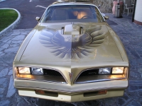 Pontiac Firebird Trans Am Gold Special Edition T-Roof Targa 2-door (2 generation) AT 6.6 (223 HP) foto, Pontiac Firebird Trans Am Gold Special Edition T-Roof Targa 2-door (2 generation) AT 6.6 (223 HP) fotos, Pontiac Firebird Trans Am Gold Special Edition T-Roof Targa 2-door (2 generation) AT 6.6 (223 HP) Bilder, Pontiac Firebird Trans Am Gold Special Edition T-Roof Targa 2-door (2 generation) AT 6.6 (223 HP) Bild