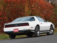 Pontiac Firebird Trans Am T-Roof Targa 2-door (3 generation) 5.0 AT foto, Pontiac Firebird Trans Am T-Roof Targa 2-door (3 generation) 5.0 AT fotos, Pontiac Firebird Trans Am T-Roof Targa 2-door (3 generation) 5.0 AT Bilder, Pontiac Firebird Trans Am T-Roof Targa 2-door (3 generation) 5.0 AT Bild