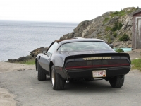 Pontiac Firebird Trans Am T-Targa Roof (2 generation) AT 6.6 (223hp) foto, Pontiac Firebird Trans Am T-Targa Roof (2 generation) AT 6.6 (223hp) fotos, Pontiac Firebird Trans Am T-Targa Roof (2 generation) AT 6.6 (223hp) Bilder, Pontiac Firebird Trans Am T-Targa Roof (2 generation) AT 6.6 (223hp) Bild