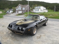 Pontiac Firebird Trans Am T-Targa Roof (2 generation) AT 6.6 (223hp) foto, Pontiac Firebird Trans Am T-Targa Roof (2 generation) AT 6.6 (223hp) fotos, Pontiac Firebird Trans Am T-Targa Roof (2 generation) AT 6.6 (223hp) Bilder, Pontiac Firebird Trans Am T-Targa Roof (2 generation) AT 6.6 (223hp) Bild