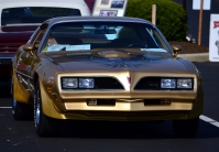 Pontiac Firebird Trans Am with 2-door (2 generation) 6.6 MT (188hp) foto, Pontiac Firebird Trans Am with 2-door (2 generation) 6.6 MT (188hp) fotos, Pontiac Firebird Trans Am with 2-door (2 generation) 6.6 MT (188hp) Bilder, Pontiac Firebird Trans Am with 2-door (2 generation) 6.6 MT (188hp) Bild