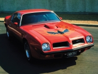 Pontiac Firebird Trans Am with 2-door (2 generation) 6.6 MT (225hp) Technische Daten, Pontiac Firebird Trans Am with 2-door (2 generation) 6.6 MT (225hp) Daten, Pontiac Firebird Trans Am with 2-door (2 generation) 6.6 MT (225hp) Funktionen, Pontiac Firebird Trans Am with 2-door (2 generation) 6.6 MT (225hp) Bewertung, Pontiac Firebird Trans Am with 2-door (2 generation) 6.6 MT (225hp) kaufen, Pontiac Firebird Trans Am with 2-door (2 generation) 6.6 MT (225hp) Preis, Pontiac Firebird Trans Am with 2-door (2 generation) 6.6 MT (225hp) Autos