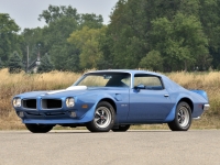 Pontiac Firebird Trans Am with 2-door (2 generation) 6.6 Turbo Hydra-Matic (345hp) foto, Pontiac Firebird Trans Am with 2-door (2 generation) 6.6 Turbo Hydra-Matic (345hp) fotos, Pontiac Firebird Trans Am with 2-door (2 generation) 6.6 Turbo Hydra-Matic (345hp) Bilder, Pontiac Firebird Trans Am with 2-door (2 generation) 6.6 Turbo Hydra-Matic (345hp) Bild