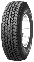 Roadstone ROADIAN AT II 235/75 R15 104/101Q foto, Roadstone ROADIAN AT II 235/75 R15 104/101Q fotos, Roadstone ROADIAN AT II 235/75 R15 104/101Q Bilder, Roadstone ROADIAN AT II 235/75 R15 104/101Q Bild