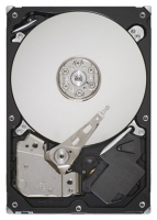 Seagate ST250DM000 Technische Daten, Seagate ST250DM000 Daten, Seagate ST250DM000 Funktionen, Seagate ST250DM000 Bewertung, Seagate ST250DM000 kaufen, Seagate ST250DM000 Preis, Seagate ST250DM000 Festplatten und Netzlaufwerke