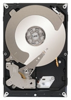 Seagate ST3000NC000 Technische Daten, Seagate ST3000NC000 Daten, Seagate ST3000NC000 Funktionen, Seagate ST3000NC000 Bewertung, Seagate ST3000NC000 kaufen, Seagate ST3000NC000 Preis, Seagate ST3000NC000 Festplatten und Netzlaufwerke