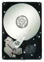 Seagate ST31000340NS Technische Daten, Seagate ST31000340NS Daten, Seagate ST31000340NS Funktionen, Seagate ST31000340NS Bewertung, Seagate ST31000340NS kaufen, Seagate ST31000340NS Preis, Seagate ST31000340NS Festplatten und Netzlaufwerke