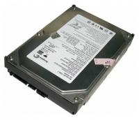 Seagate ST3120026AS Technische Daten, Seagate ST3120026AS Daten, Seagate ST3120026AS Funktionen, Seagate ST3120026AS Bewertung, Seagate ST3120026AS kaufen, Seagate ST3120026AS Preis, Seagate ST3120026AS Festplatten und Netzlaufwerke