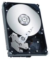 Seagate ST3120813AS Technische Daten, Seagate ST3120813AS Daten, Seagate ST3120813AS Funktionen, Seagate ST3120813AS Bewertung, Seagate ST3120813AS kaufen, Seagate ST3120813AS Preis, Seagate ST3120813AS Festplatten und Netzlaufwerke