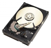 Seagate ST3300631A Technische Daten, Seagate ST3300631A Daten, Seagate ST3300631A Funktionen, Seagate ST3300631A Bewertung, Seagate ST3300631A kaufen, Seagate ST3300631A Preis, Seagate ST3300631A Festplatten und Netzlaufwerke