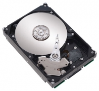 Seagate ST3400633NS Technische Daten, Seagate ST3400633NS Daten, Seagate ST3400633NS Funktionen, Seagate ST3400633NS Bewertung, Seagate ST3400633NS kaufen, Seagate ST3400633NS Preis, Seagate ST3400633NS Festplatten und Netzlaufwerke