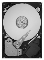 Seagate ST500DL001 Technische Daten, Seagate ST500DL001 Daten, Seagate ST500DL001 Funktionen, Seagate ST500DL001 Bewertung, Seagate ST500DL001 kaufen, Seagate ST500DL001 Preis, Seagate ST500DL001 Festplatten und Netzlaufwerke