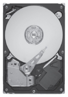 Seagate ST9300505SS Technische Daten, Seagate ST9300505SS Daten, Seagate ST9300505SS Funktionen, Seagate ST9300505SS Bewertung, Seagate ST9300505SS kaufen, Seagate ST9300505SS Preis, Seagate ST9300505SS Festplatten und Netzlaufwerke